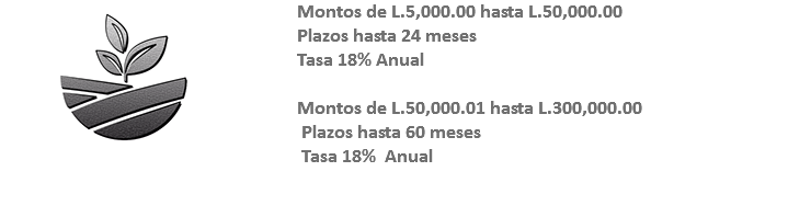 ﷯Montos de L.5,000.00 hasta L.50,000.00 Plazos hasta 24 meses Tasa 18% Anual Montos de L.50,000.01 hasta L.300,000.00 Plazos hasta 60 meses Tasa 18% Anual 